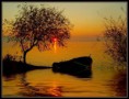/album/resim-galerisi/doga-resimleri7-jpg/